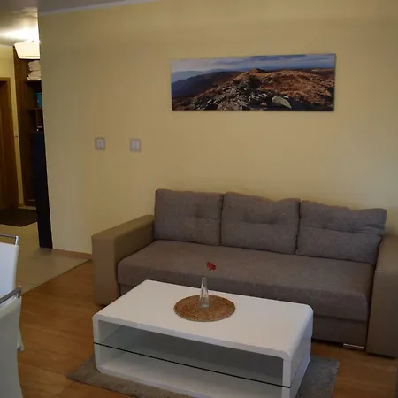 Апартаменты Apartament Silence *